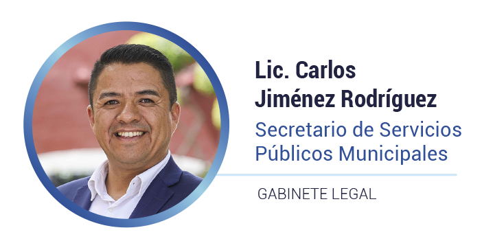 Datos del ID 81